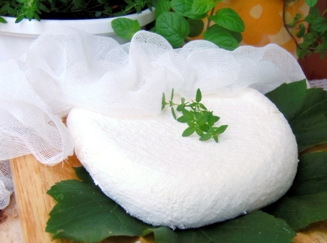 e-pyskowice.pl | Domowy biały ser na bazie grzybka tybetańskiego